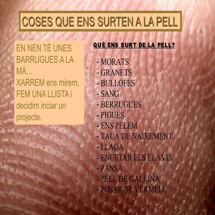 Què ens surt a la pell pagweb