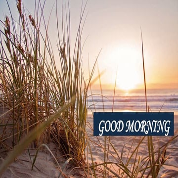 ...........................................