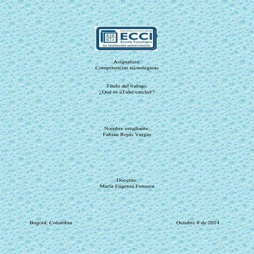 ¿Qué es Ttube catcher?.docx
