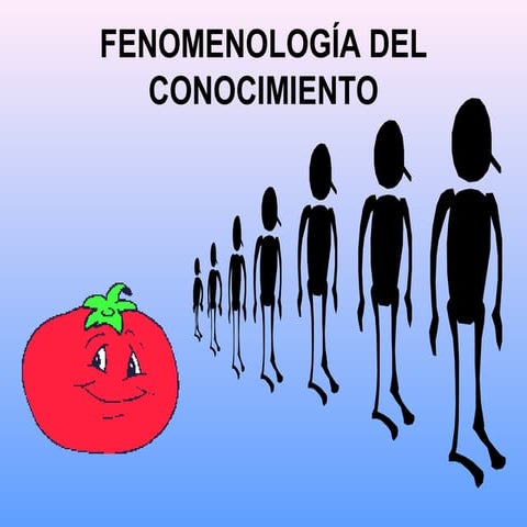 Qué es la fenomenología del conocimiento