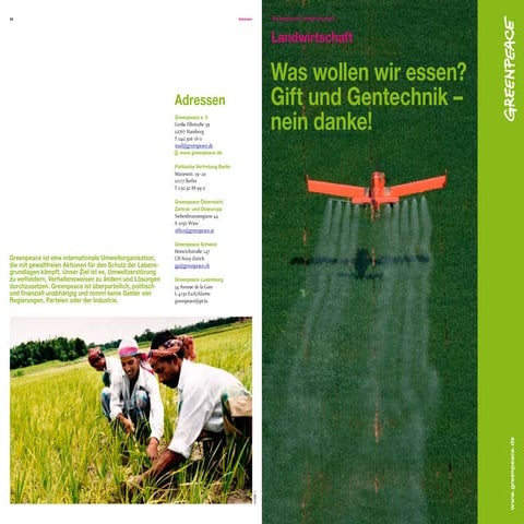 ¿Qué es lo que comemos?