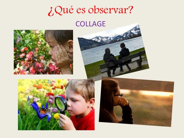 12 Razones Por Las Que Es Importarte Observar – YSREG