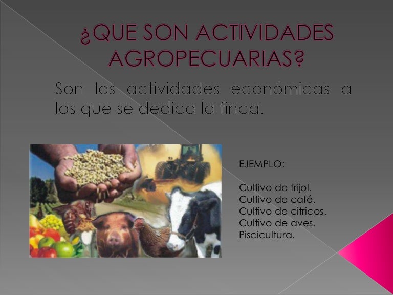 3 Palabras Relacionadas Con Actividades Pecuarias es.slideshare.net