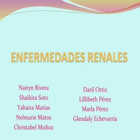 Que son las enfermedades renales
