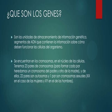 Que son los genes