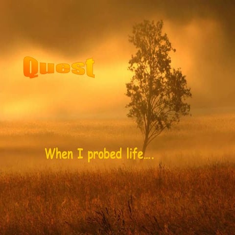 The quest of life: the unsolved riddle