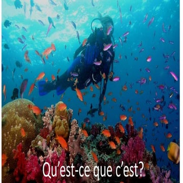 Qu’est ce que c’est sous marin