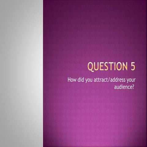 Question 5:how did you attract/address your audience?