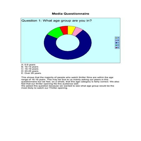 Media Questionnaire