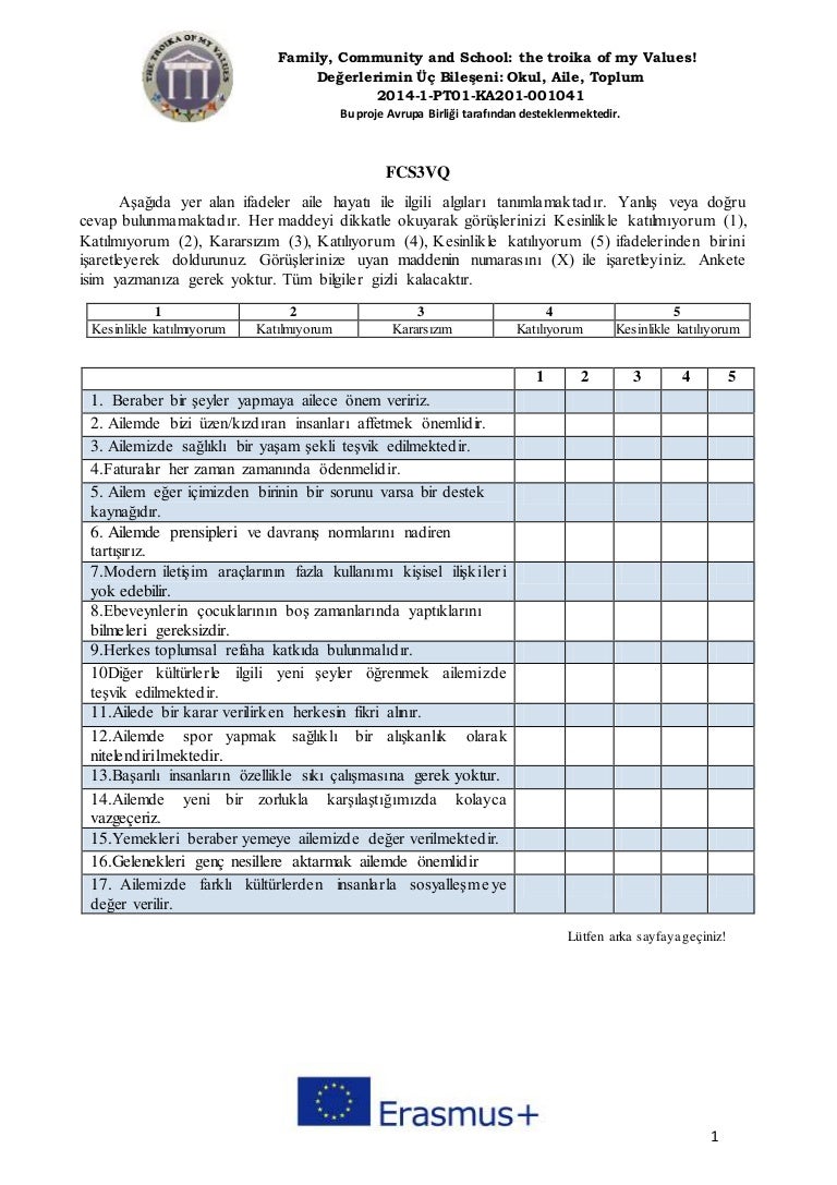 Questionnaire turkey