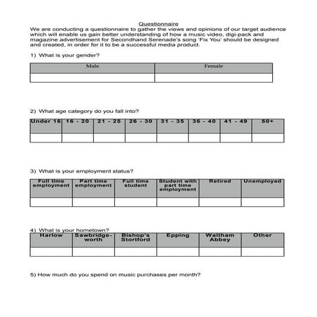 Music media questionnaire | DOCX