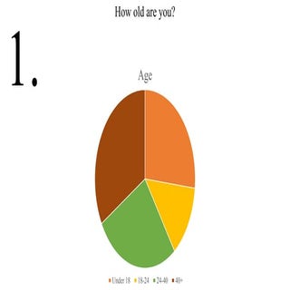 Questionnaire 13 oct