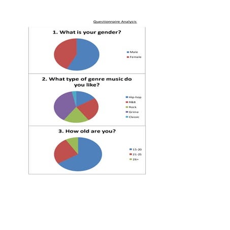 Questionnaire | DOCX