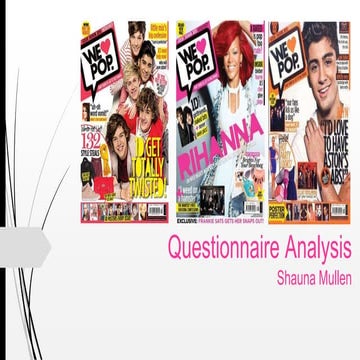 Questionnaire Analysis