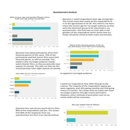 Questionnaire analysis 