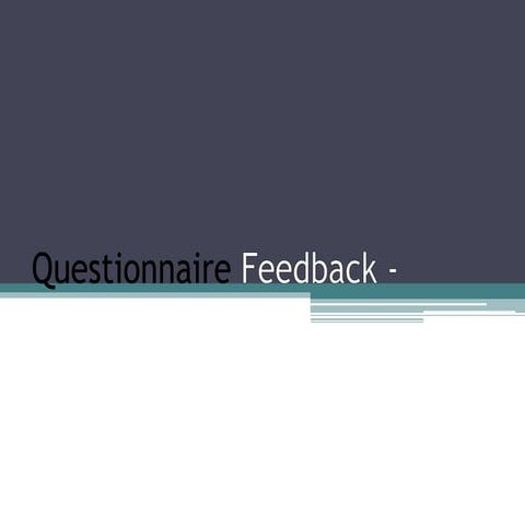 Questionnaire Feedback  -