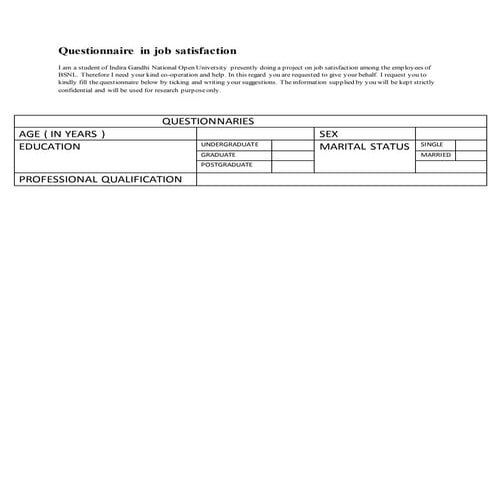 Questionnaire in job satisfaction 2