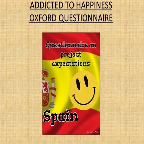 Questionnaire on project expectations spain | PPT