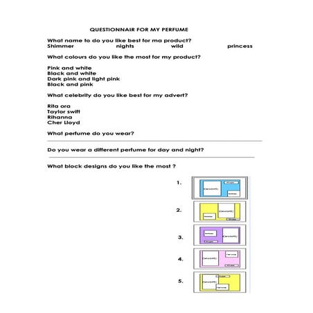 Questionnair emily | PPTX