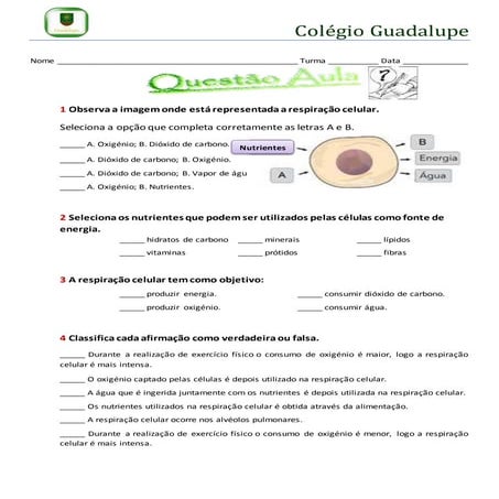Questão aula   resp cel