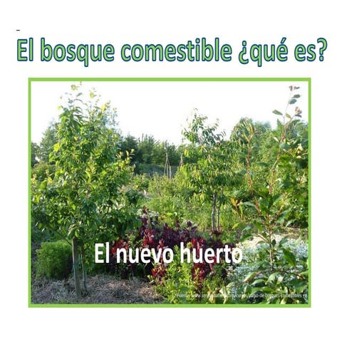 Qué es un bosque comestible | PPSX