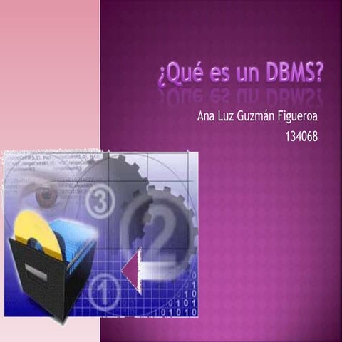 Qué es un dbms