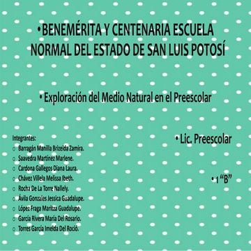 Que tipo de ciencias utilizan