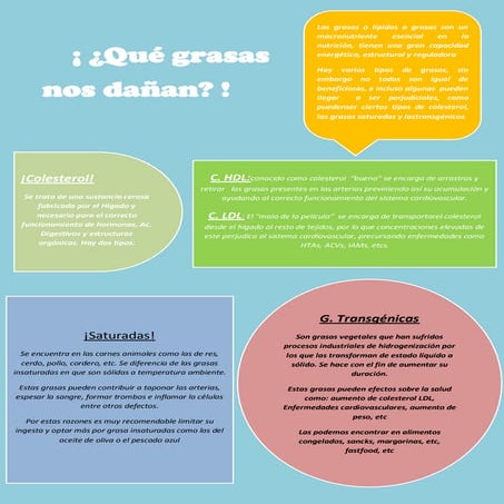 ¿Qué grasas nos dañan?