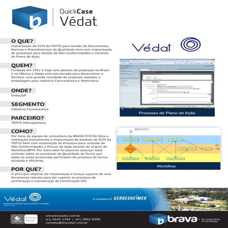 BRAVA KIT Cadastro Itens DATASUL EMS | PPTX