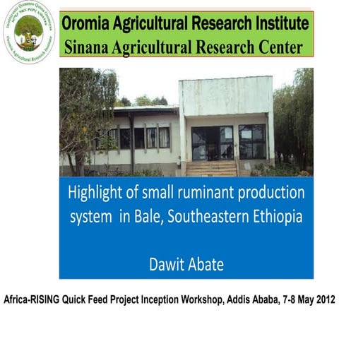 Highlight of small ruminant production system  in Bale, Southeastern Ethiopia