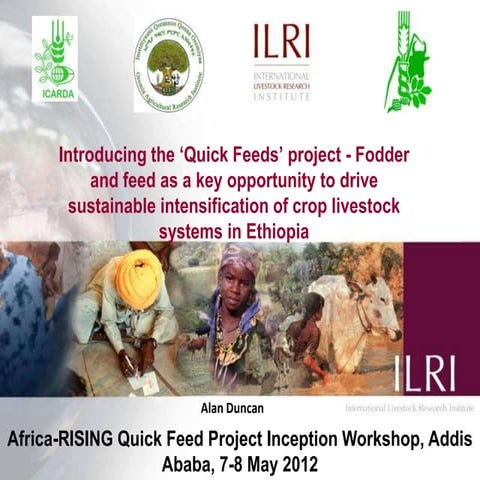 Introducing the ‘Quick Feeds’ project - Fodder and feed as a key opportunity ...