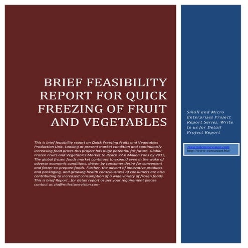 Quick Freezing Brief Feasibility Report