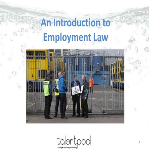 An Introduction to Employment Law in Ireland