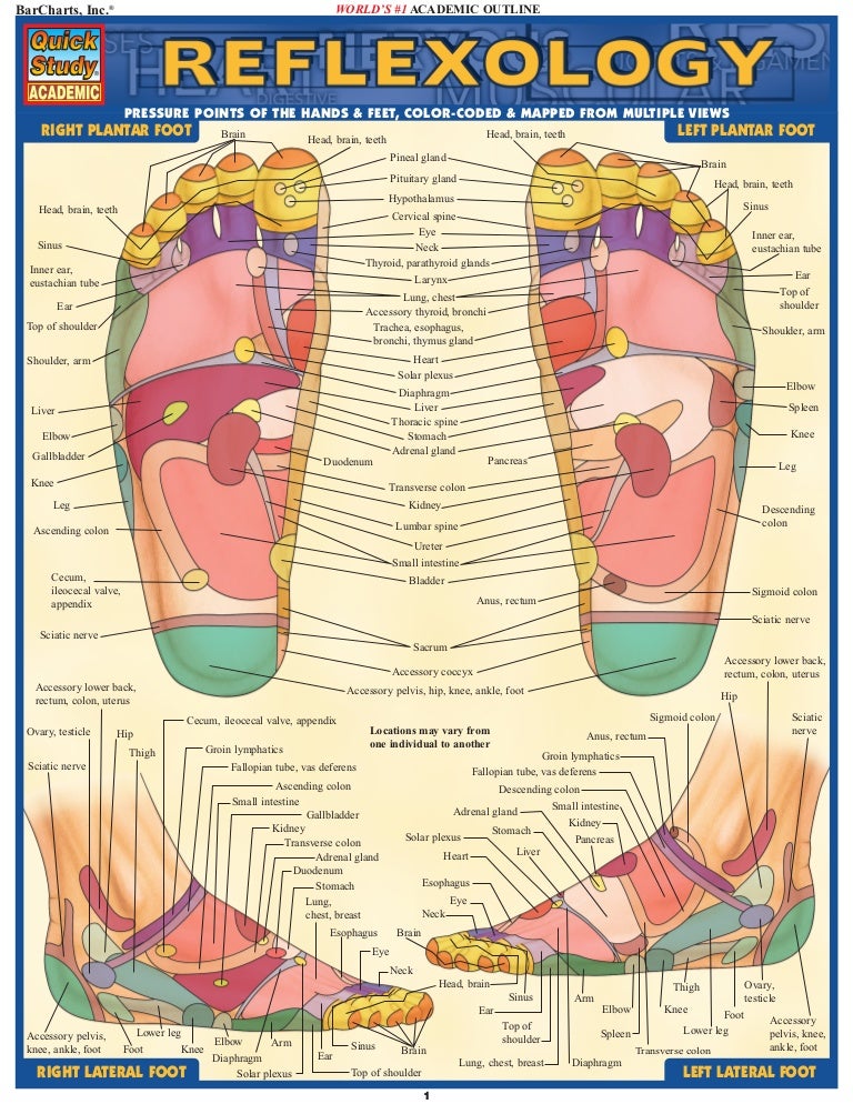 Quick study reflexology