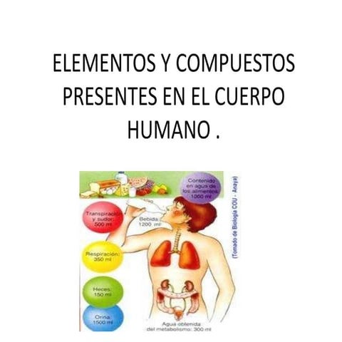 Composicion quimica del cuerpo humano | PPTX