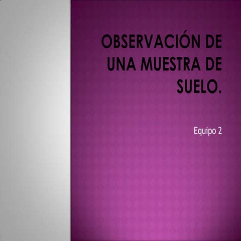 Actividad experimental