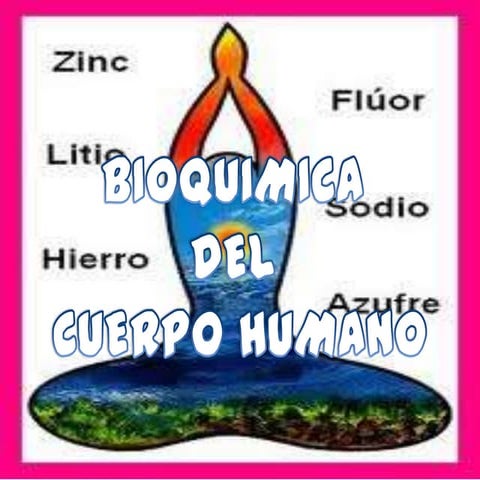 Los elementos químicos en el cuerpo humano | PPTX