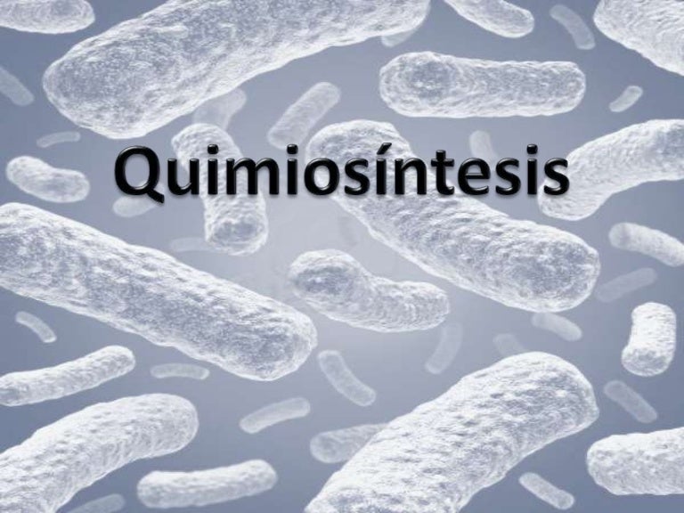 Quimiosíntesis