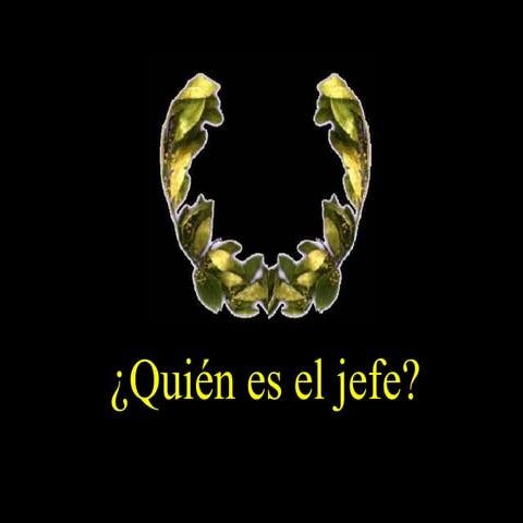 ¿Quién es el jefe?