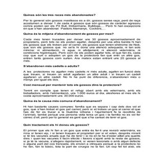 Entrevsta a una protectora de bcn