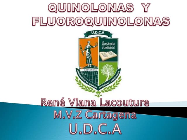 Cefalosporinas presentación