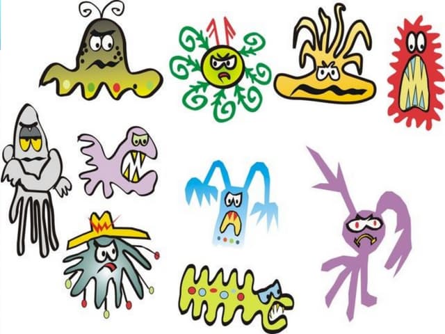 Pharmacology of Quinolones ppt   satya