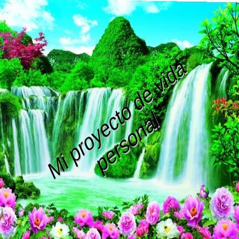 mi hermoso proyecto de mi vida