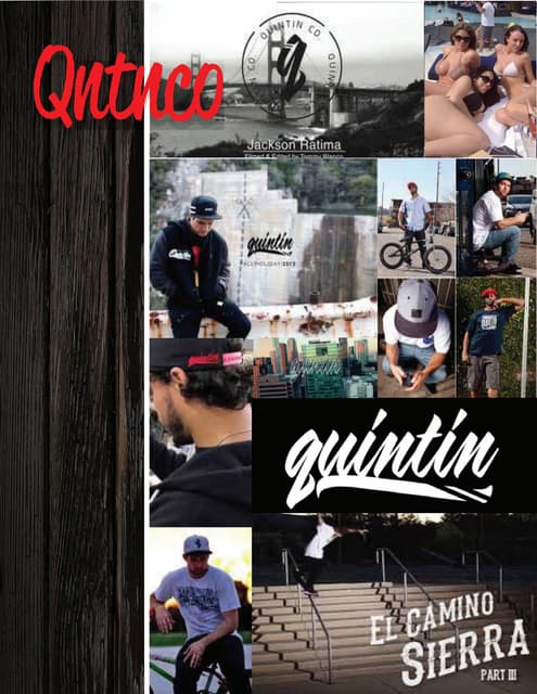 Quintin co. Portfolio