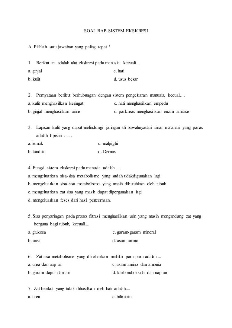 Soal Essay Dan Jawaban Tentang Sistem Ekskresi Pada