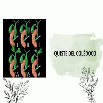 QUISTE DE COLÉDOCO: Clasificación de Todani | PPTX