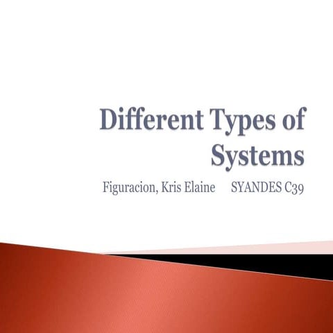 Types of System- SYANDES Q#3