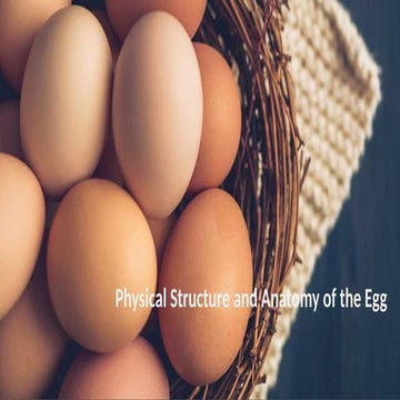 quarter four power point presentation on eggs eggs.pptx