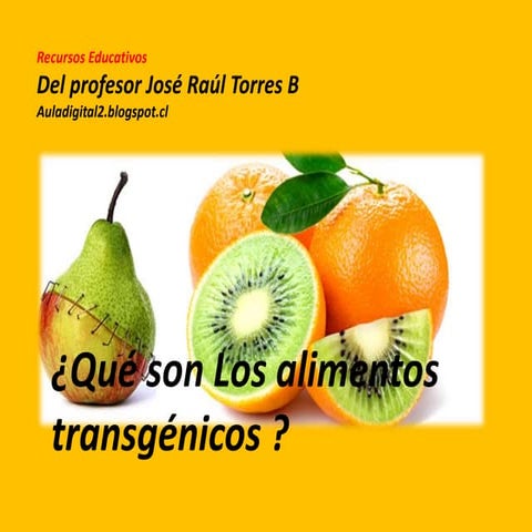 Qué son los alimentos transgénicos.