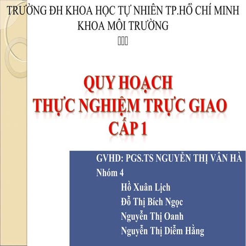 quy hoach truc giao cap 1